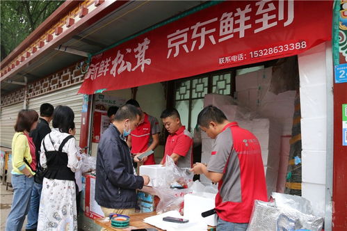 聚焦农产品物流激发市场间活力