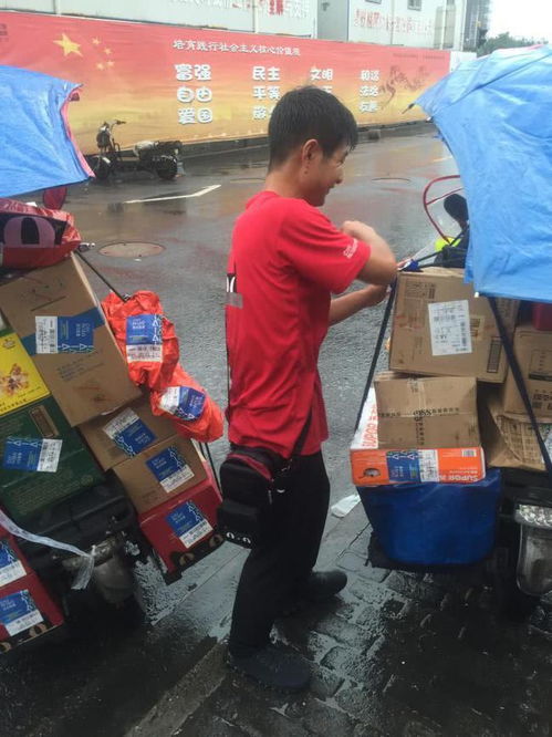 武汉盈石物流的发展现状如何