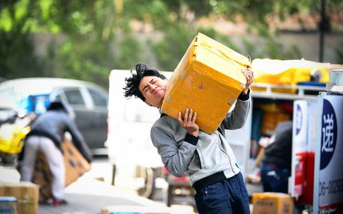 无锡 探访高温天里的快递分拣中心